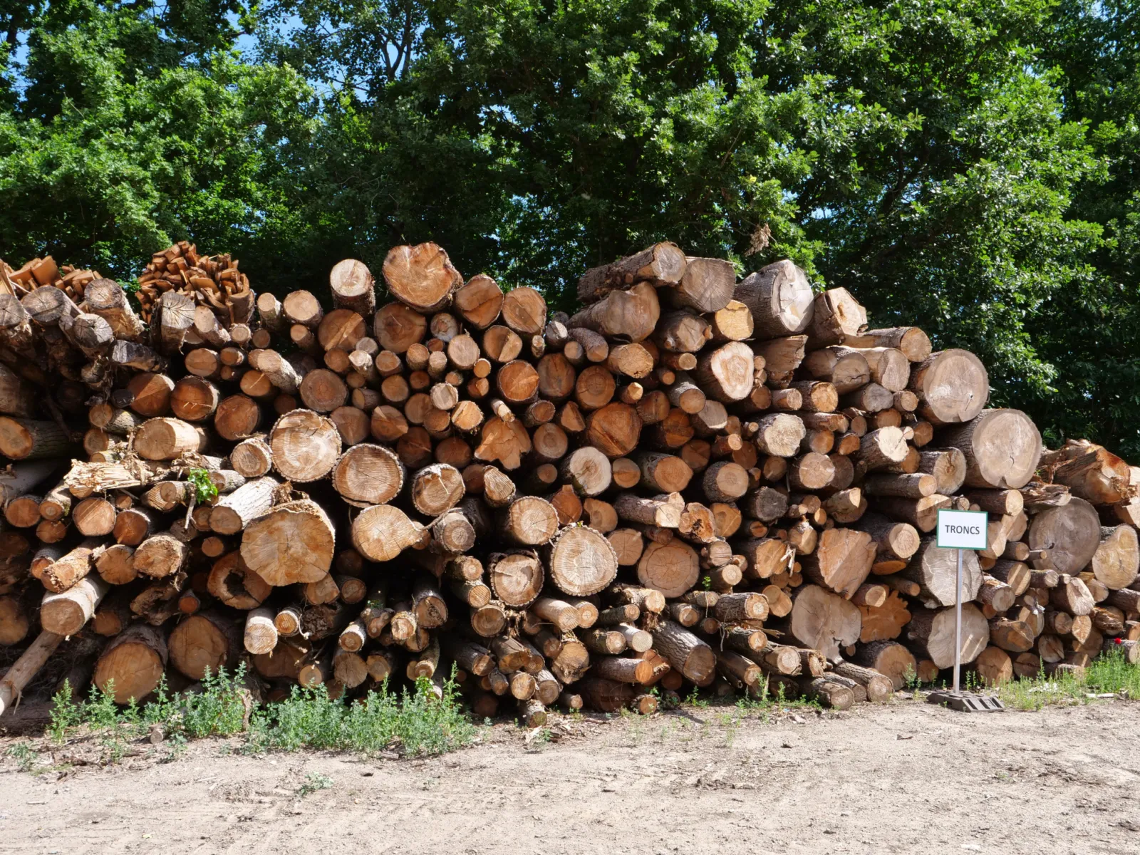 Grumes empilées le long d'un chemin forestier
